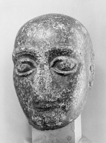 Grande tête rasée, image 11/14