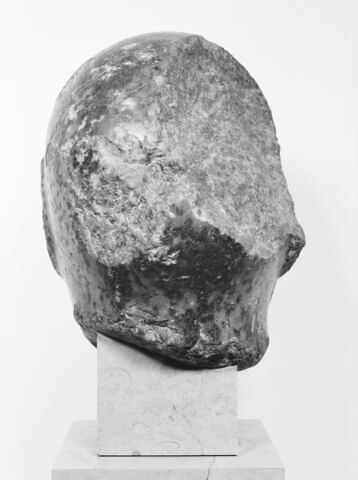 Grande tête rasée, image 14/14