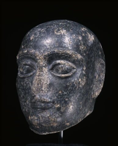 Grande tête rasée, image 7/14