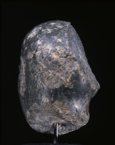 Grande tête rasée, image 10/14