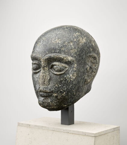 Grande tête rasée, image 2/14