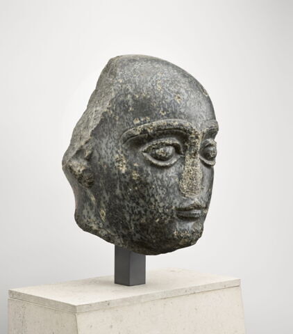 Grande tête rasée, image 3/14