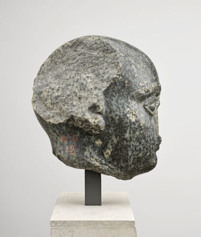Grande tête rasée, image 4/14