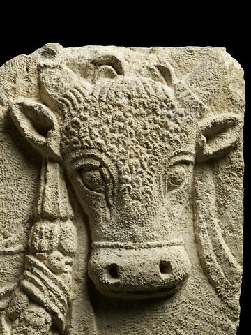 cuve de sarcophage, image 2/5