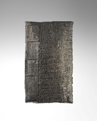 tablette ; enveloppe de tablette, image 4/29