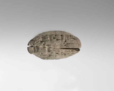 tablette ; enveloppe de tablette, image 14/29