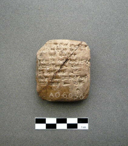 tablette ; scellement, image 4/4
