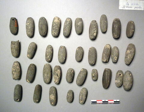 poids ; poids de filet