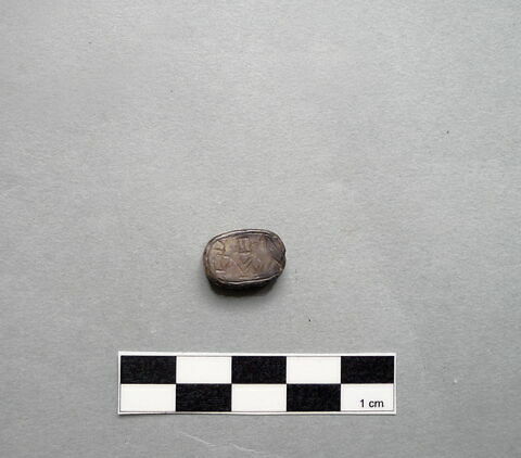 scarabée ; cachet ; document écrit