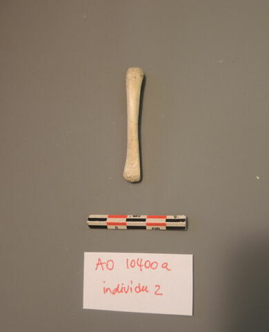 os, image 3/3