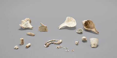 boîte à fard ; coquillage, image 3/4