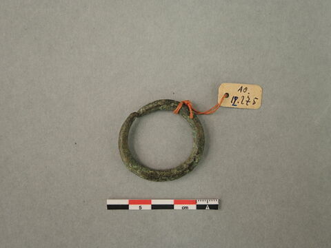 anneau  ; boucle d'oreille