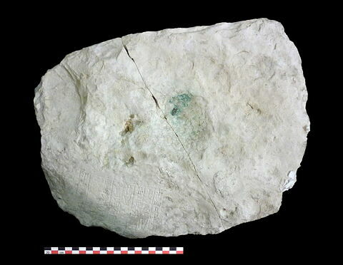 crapaudine, image 3/4