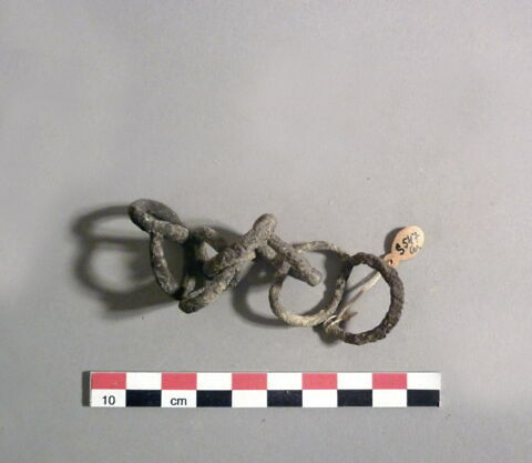 boucle d'oreille ; ornement de cheveux