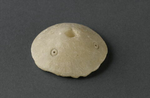 fusaïole, image 4/4