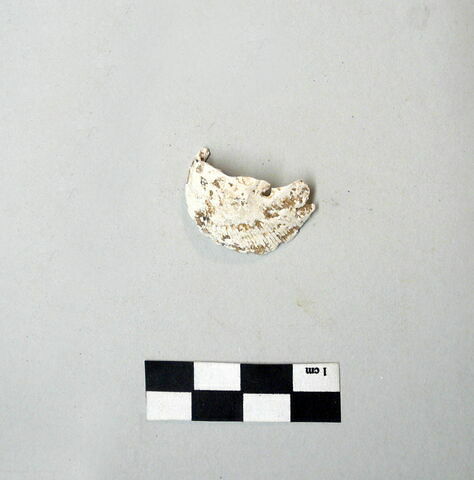 collier ; perle, image 2/2