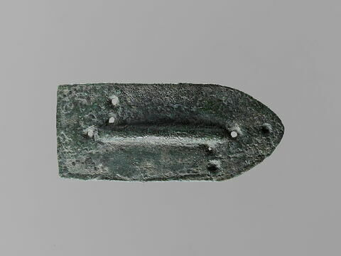écaille de cuirasse