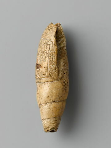 coquillage, image 4/6