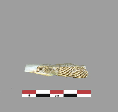 plaquette  ; incrustation de meuble