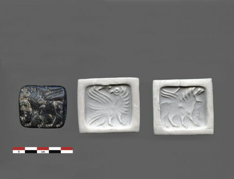 cachet, image 2/4