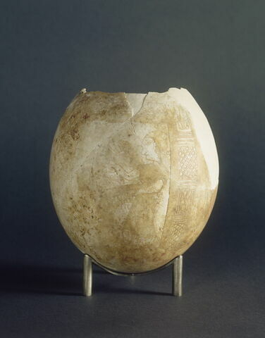 oeuf d'autruche, image 4/5