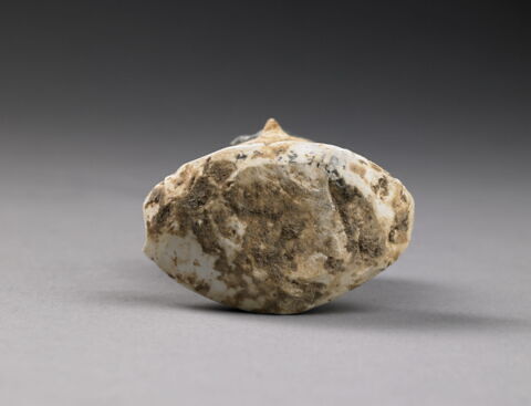 Princesse de Bactriane, image 9/33