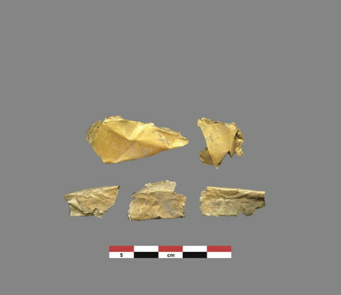 feuille, image 2/2