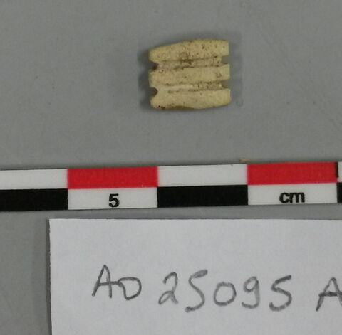 perle, image 2/2