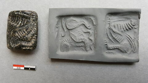 cachet, image 2/5