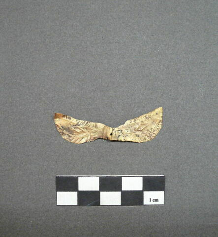 feuille, image 3/4