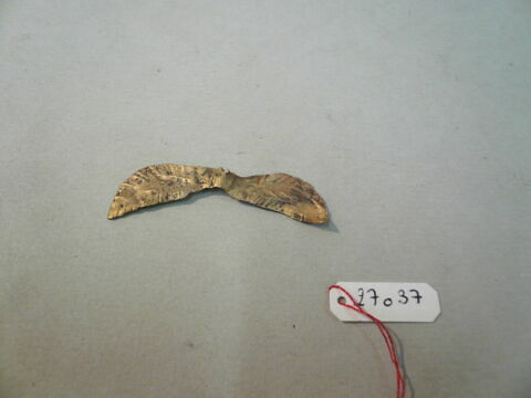 feuille, image 4/4