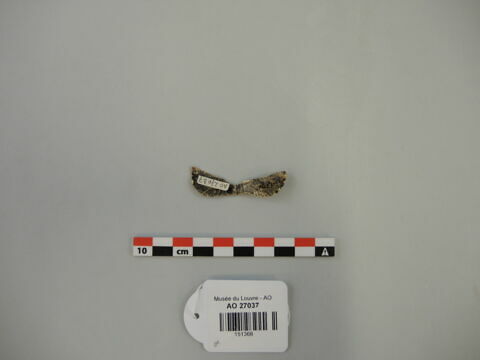 feuille, image 2/4