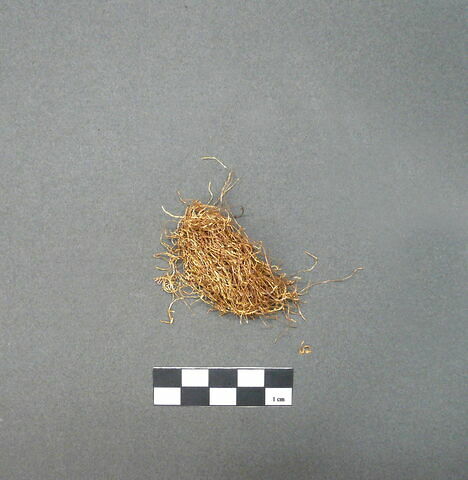fil, image 2/2