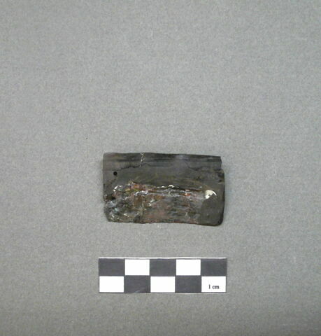 écaille de cuirasse, image 2/2
