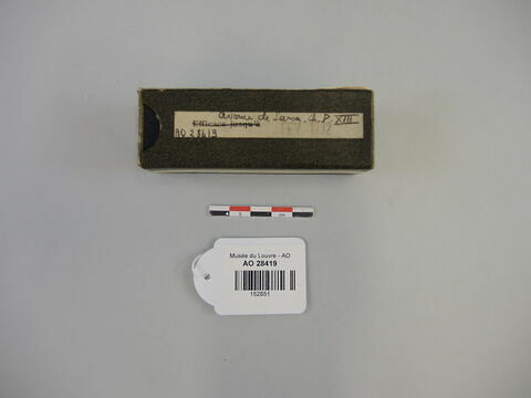 Grains d'orge carbonisés, image 2/5