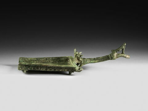 pelle de sacrifice, image 5/5