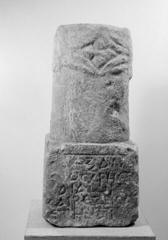 cippe, image 2/2