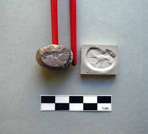 cachet ; dactylioïde, image 2/2