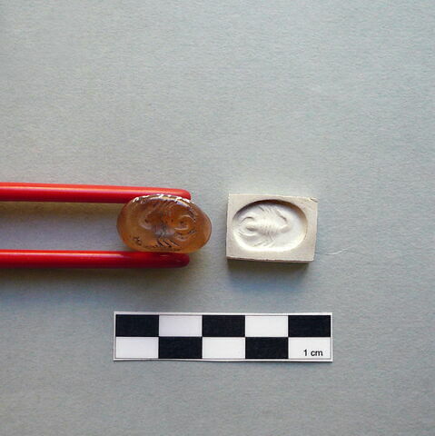 cachet ; dactylioïde, image 2/2