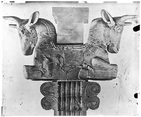 Chapiteau de l'Apadana, image 8/13