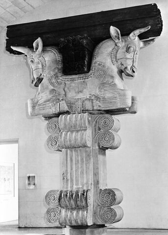 Chapiteau de l'Apadana, image 11/13