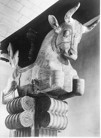 Chapiteau de l'Apadana, image 12/13