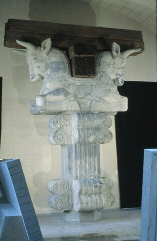 Chapiteau de l'Apadana, image 5/13