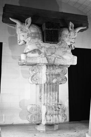 Chapiteau de l'Apadana, image 6/13