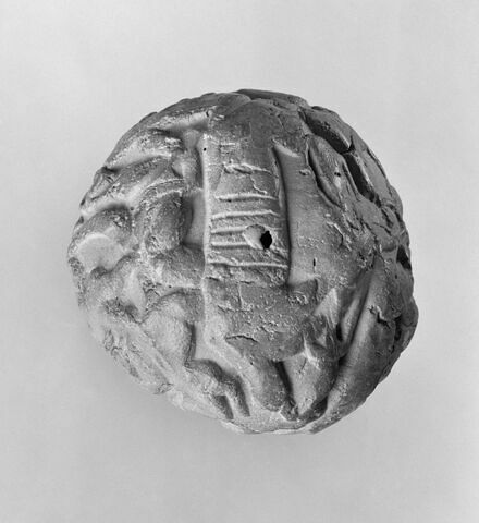 bulle de scellement ; calculus, image 6/7