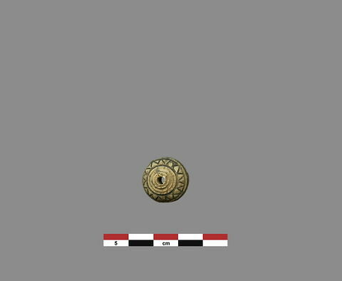 bouton ; fusaïole