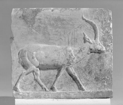 plaquette, image 4/4