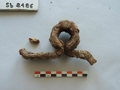 patte, image 3/3