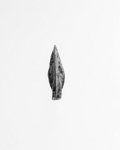 pointe de flèche, image 3/3