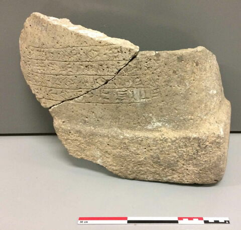 bassin ; fragment, image 4/5